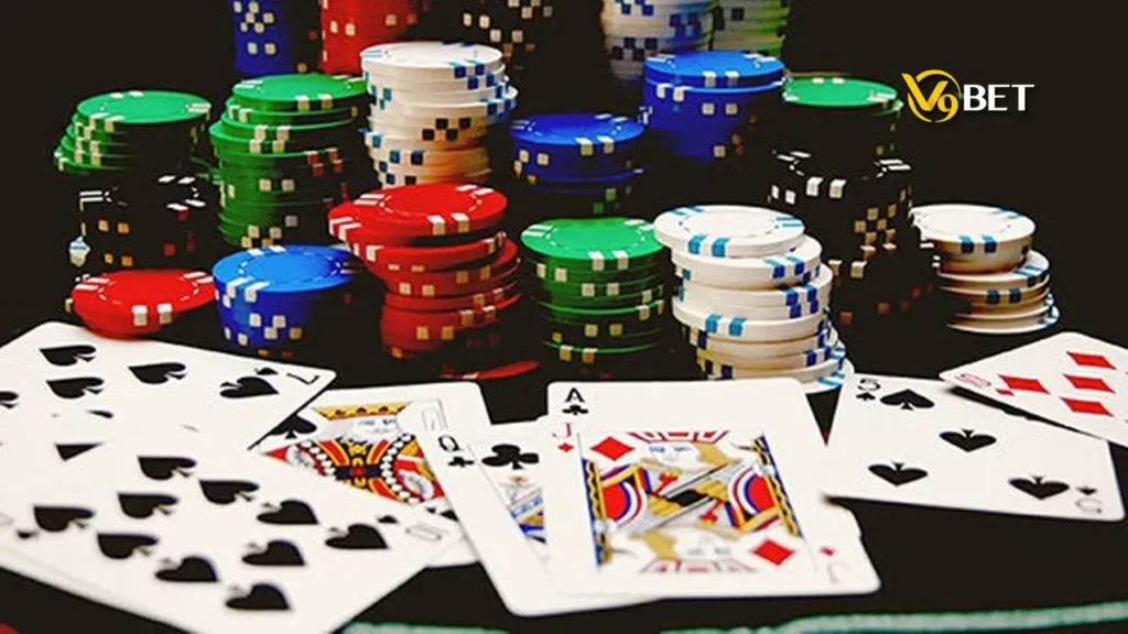 Khám phá cách chơi Catte cơ bản và thú vị hiện nay